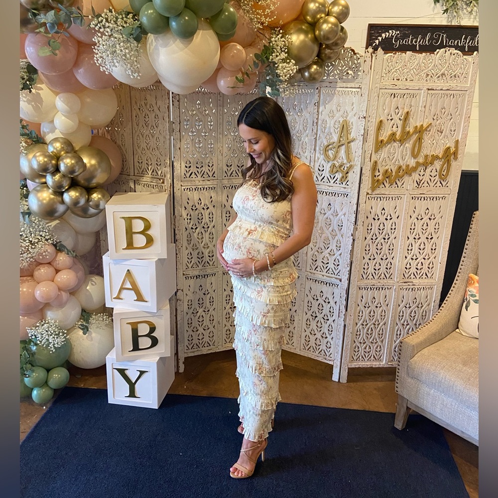 V Chapman Lily Dress in Carmel Valley Rose